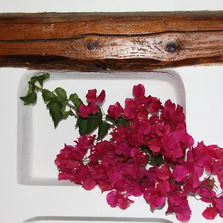 Prázdninový dům Miele